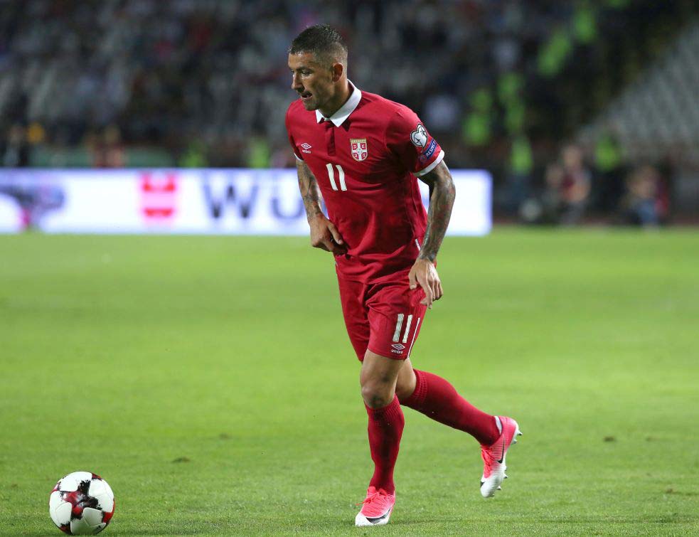 kolarov dado djilas
