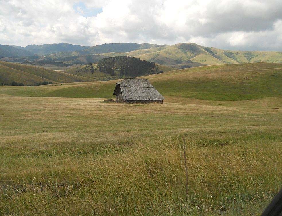 Zlatibor, VIKI