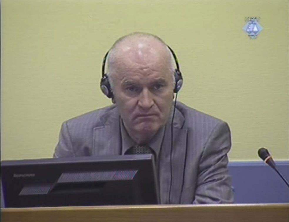 ratko mladic, VIKI